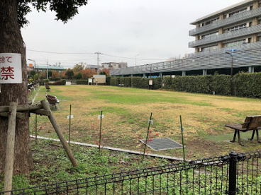 森ヶ崎緑華園 芝生広場の画像1