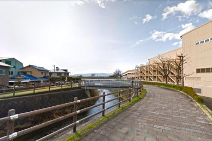 戦川（土手）の画像1