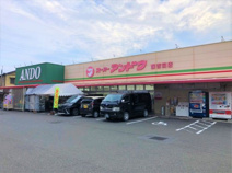 スーパーアンドウ 国吉田店