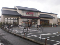 ジョイス　本町店