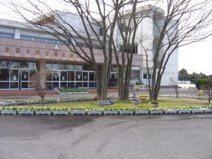 小学校 我孫子市立布佐南小学校