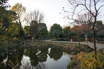 平和の森公園の画像1