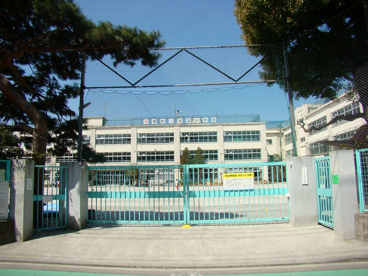 天沼小学校の画像1