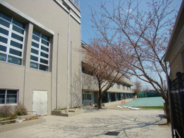 桃井第五小学校の画像1
