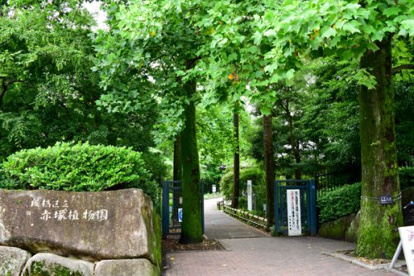 赤塚植物園の画像1