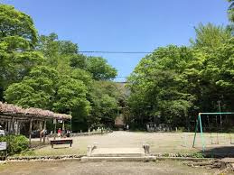 拝島公園の画像1