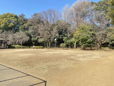 田園調布せせらぎ公園の画像1
