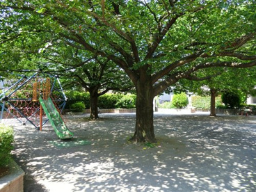 やまなか公園の画像1