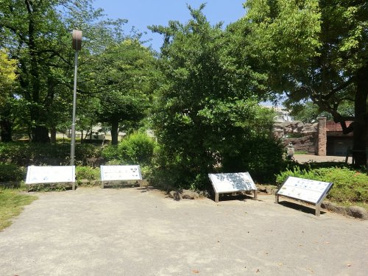 大森貝塚遺跡庭園の画像1