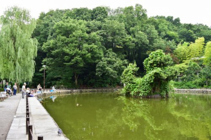 赤塚溜池公園の画像1