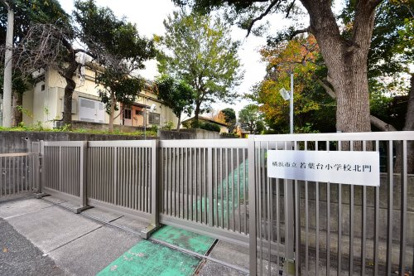 横浜市立若葉台小学校の画像1