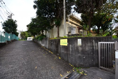 わかばの森保育園の画像1