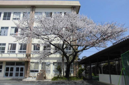 稲城市立稲城第一中学校の画像1