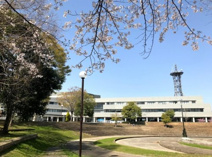 取手市役所藤代庁舎