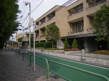 八幡山小学校の画像3