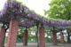 浅香山公園の画像
