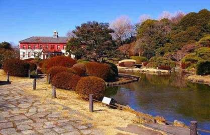 小石川植物園の画像1