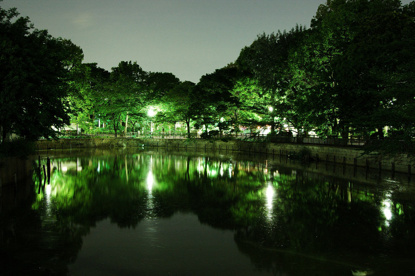碑文谷公園の画像1