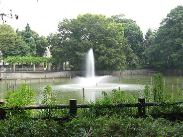 碑文谷公園の画像2