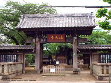 祐天寺の画像1