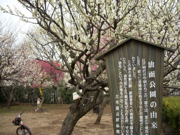 油面公園の画像1