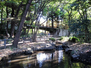 林試の森公園の画像1