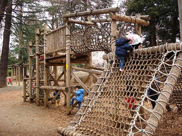林試の森公園の画像2