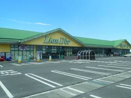 リオンドール　燕北店の画像1