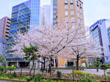 公園 仲良し公園