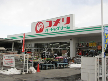 コメリハード&グリーン大泉学園店の画像1