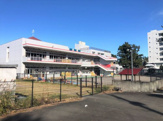 認定こども園東海大学付属幼稚園