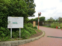 新河岸東公園（浮間子どもスポーツ広場）