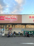 Maxvalu Express(マックスバリュ エクスプレス) 清水追分店