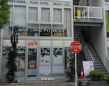 ペットの専門店コジマ両国店の画像1