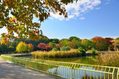 長居スタジアムの画像1