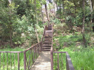 上野毛自然公園の画像1