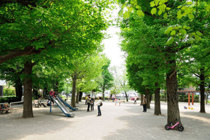 田向公園の画像1