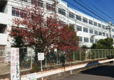 高槻市立若松小学校