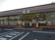 セブンイレブン 行田さきたま古墳前店の画像