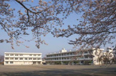 上星小学校