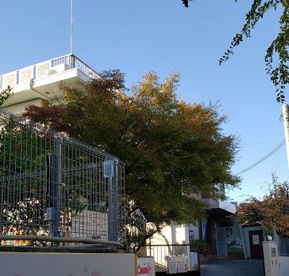 認定こども園津之江さくら保育園の画像1