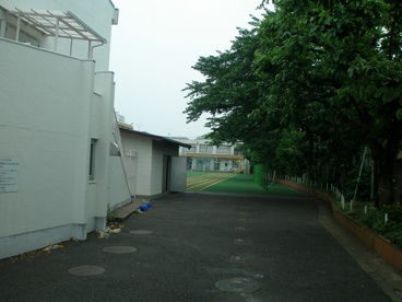西原小学校の画像3