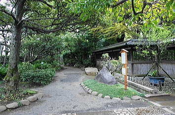 駒場野公園の画像2