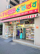 どらっぐぱぱす 勝どき5丁目店
