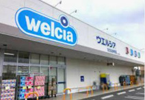 ウエルシア　ひたちなか市毛店