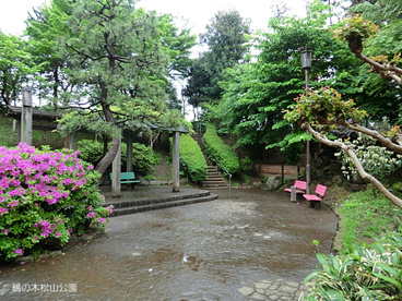鵜の木松山公園の画像1