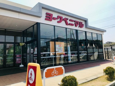 ヨークベニマル　日立川尻町店の画像1