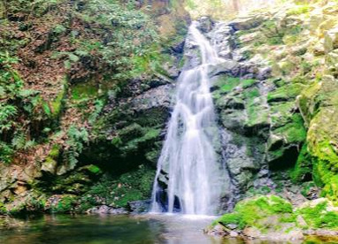 摂津峡公園の画像1