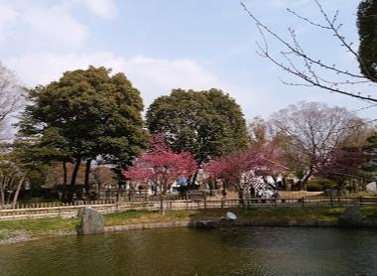 城跡公園の画像1