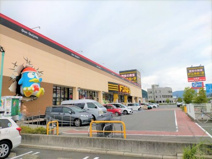 ドン・キホーテ 静岡山崎店